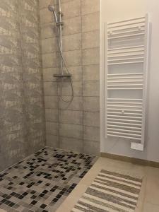 a bathroom with a shower with a black and white tiles at la maison dans la prairie fleurie gite bleuet in Saint-Avit-Sénieur