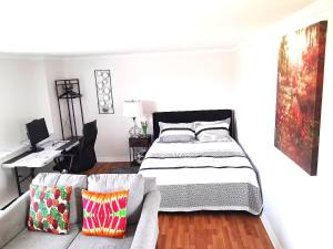 圣约翰Executive room in a cozy Apt的一间卧室，配有一张床、一张书桌和一张沙发