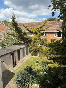 ein Haus, über dessen Hof ein Baum sich neigt in der Unterkunft Pretty period property sleeps 4 guests with shared garden in Worthing