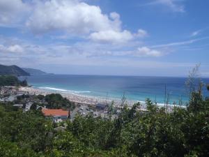 a view of a beach and the ocean at Guest House SUN Izu Shirahama in Shimoda +13 photos