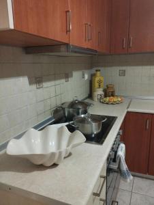 Φωτογραφία από το άλμπουμ του zoi apartment στην Ολυμπιακή Ακτή +22 φωτογραφίες