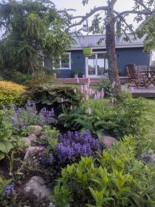 a garden with purple flowers in front of a blue house at Peedu saunamaja in Hiiumaa +4 photos