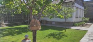 a bird house in the yard of a house at ХОСТЕЛ ТаСмИн МеХр РеГиСтАн in Samarkand