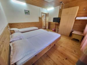 a large room with two beds and a television at Casa Ramona Sulina in Sulina
