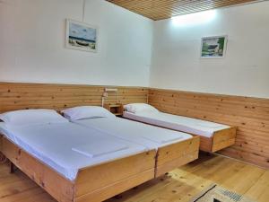 two beds in a room with wooden walls at Casa Ramona Sulina in Sulina +9 photos