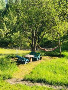 Ein Garten an der Unterkunft River side SVANETI