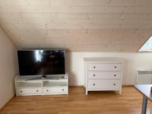 Televiisor ja/või meelelahutuskeskus majutusasutuses Apartmán U Venuše
