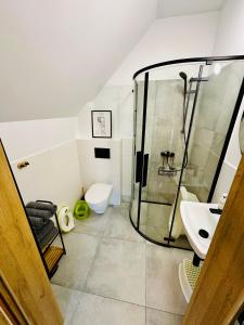 a bathroom with a shower and a toilet and a sink at Sarnówka in Karpacz +24 photos
