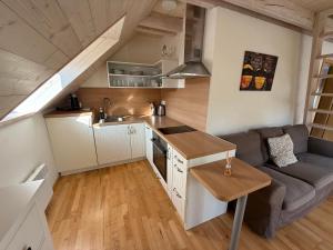 Köök või kööginurk majutusasutuses Apartmán U Venuše
