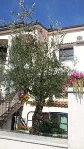 Gallery image of Apartment Ljubica in Vrsar +6 photos