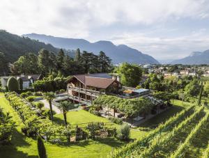 an aerial view of a house with a vineyard at Apartment Egghof im Weingut in Merano