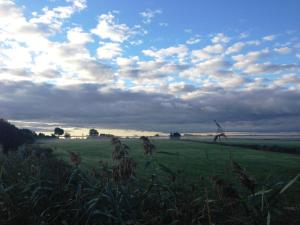 a grassy field with a cloudy sky in a field at Landhaus Martens in Bresewitz