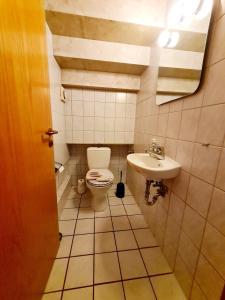 a small bathroom with a toilet and a sink at Ferienwohnung Stadtfelder in Böhl +9 photos