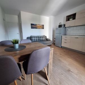 Kuchyň nebo kuchyňský kout v ubytování Rumora Ivan Apartment