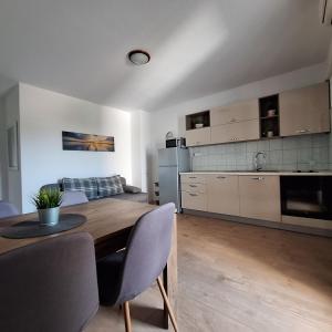 Kuchyň nebo kuchyňský kout v ubytování Rumora Ivan Apartment