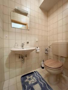 a bathroom with a toilet and a sink at Apartment 55 Mezonet in Zwiesel +9 photos