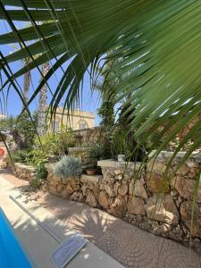a garden with a palm tree and a stone wall at Ta' Tereża Farmhouse in Xagħra