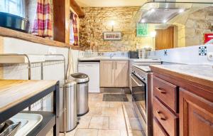 a large kitchen with wooden cabinets and appliances at Nice Home In Proissans in Proissans