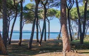 ein Wald von Bäumen mit dem Ozean im Hintergrund in der Unterkunft Cozy Home In Campiglia Marittima in Campiglia Marittima + 33 Fotos