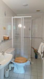 a bathroom with a toilet with a shower and a sink at Atlantic House B&B in Skibbereen