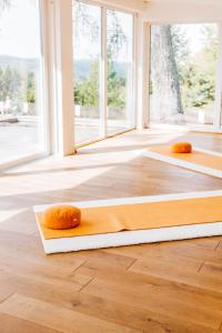 three donuts on a rug on the floor in a room at Berghotel Hoher Knochen - Ruhe & Natur in Winterberg +54 photos
