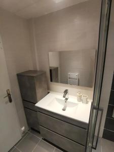 un bagno con lavandino e specchio di Appartement Biscarrosse - Centre-ville, terrasse, au calme - agréable, tout confort - 4pers a Biscarrosse Altre 13 foto