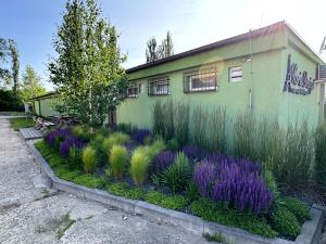 a garden with purple flowers in front of a building at Ubytování ProDante in Ostrava