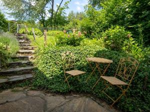 Ogród w obiekcie Gemütliche Ferienwohnung mit Terrasse und Seeblick