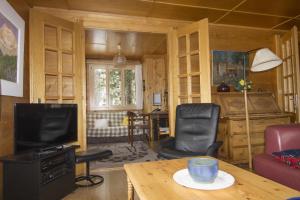 TV a/nebo společenská místnost v ubytování Chalet Cresta di Saas