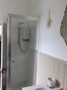 a bathroom with a shower with a toilet and a sink at Victorian Retreat - A Serene Sanctuary in Broadstairs +24 photos