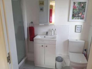 Un baño con inodoro, lavabo y ducha. en 1-Bed Seaside Retreat - Sleeps 2 Parking & Garden, en Peacehaven 31 fotos más