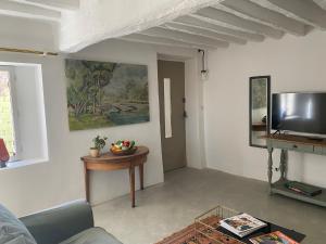 a living room with a table and a tv at Le Domaine Saint Jean in Saint-Saturnin-les-Apt