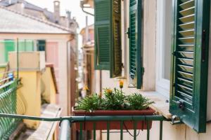 a balcony with a pot of plants on a window at The Riviera Penthouse in Lavagna