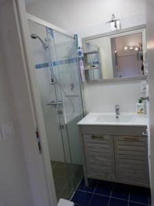 un baño con lavabo y ducha en Le chalet Martin - 400 mètres de la plage, en Plérin