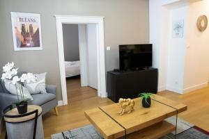 Una sala de estar con televisión y una mesa de café. en L'Arche d'Orléans, en Orléans