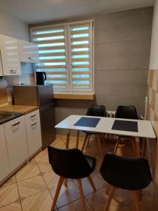 Kuchyňa alebo kuchynka v ubytovaní Apartament 59 , ranczoturystyka Bielawa Sudety