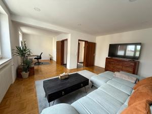 ノイシュタット・アン・デア・ヴァインシュトラーセにあるBig Apple House - 3 bedrooms with Promotion for longer stayのソファと薄型テレビのあるリビングルーム