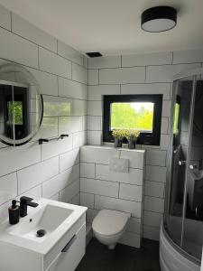 a bathroom with a toilet and a sink and a window at Domek Na Grzybowej - w lesie, w górach in Sułkowice