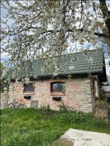 een oud bakstenen huis met een groen dak bij Agroturystyka Podłazy 