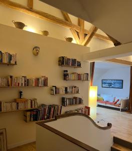 ein Wohnzimmer mit Bücherregalen mit Büchern in der Unterkunft Les écuries du château in Boissy-Saint-Léger