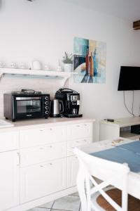 Kuchyňa alebo kuchynka v ubytovaní Mikulov Apartmány MAGISTR
