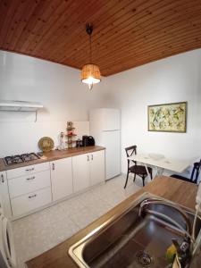 Kuchyň nebo kuchyňský kout v ubytování Mesorizi - Ancestral Home, Modern Stay