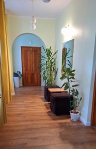 切霍齐内克Willa Zachęta Guesthouse&Coffee的相册照片