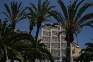 a hotel with palm trees in front of it at Hotel Porto Calpe in Calpe