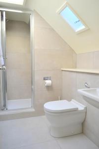 a bathroom with a toilet and a shower and a sink at Pear Tree Cottage in Shaldon