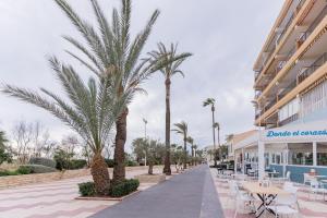 a resort with palm trees and tables and chairs at Canet Seaview Gem: Pool & Beach Proximity in Canet de Berenguer