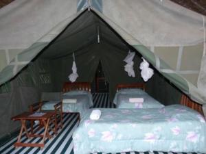 Gallery image of Mara green camp in Masai Mara