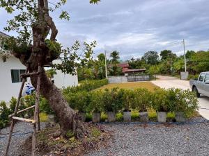 Galeriebild der Unterkunft Phuwara poolvilla ภูวรา พูลวิลล่า in Hat Yai