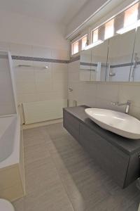 een badkamer met een wastafel en een spiegel bij Alle Vigne, 3 Stock by HolAp SA in Ascona