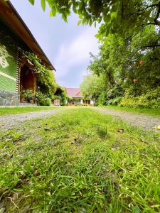 瑟彭察ILEANA Săpânța的绿色草地的院子 更多30张照片